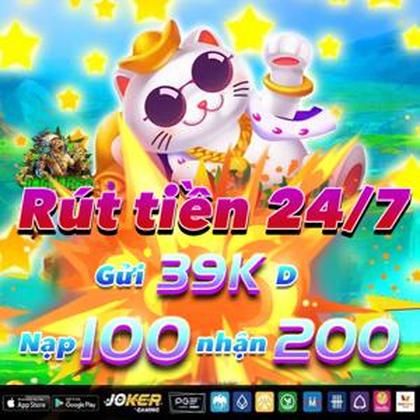 BET6646